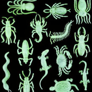 Glow In Dark Insects & Reptiles - 144/Pack