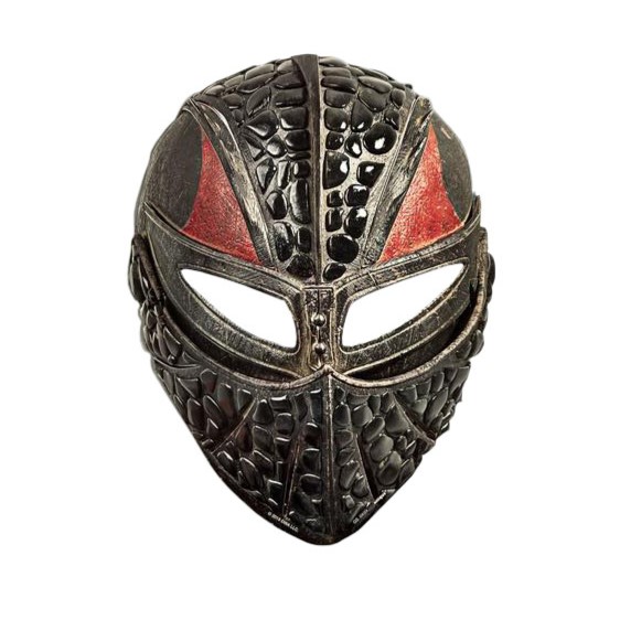 How to Train Your Dragon Party Masks - 8 Masks/Pack or 96 Masks/Case - Image 4